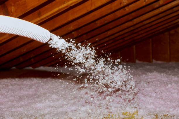 Best Insulation Repair Services  in Susan Moore, AL