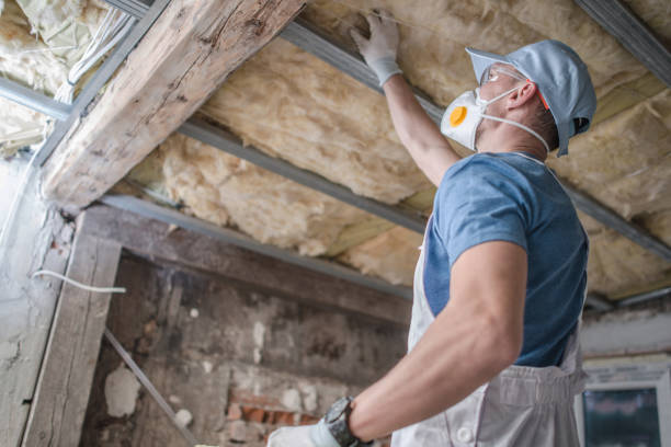Best Affordable Insulation Services  in Susan Moore, AL