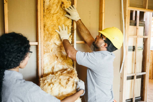 Best Energy-efficient Insulation  in Susan Moore, AL