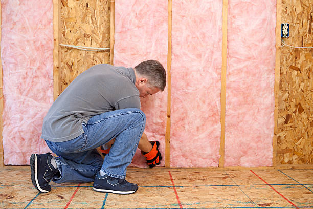 Best Insulation Inspection Services  in Susan Moore, AL