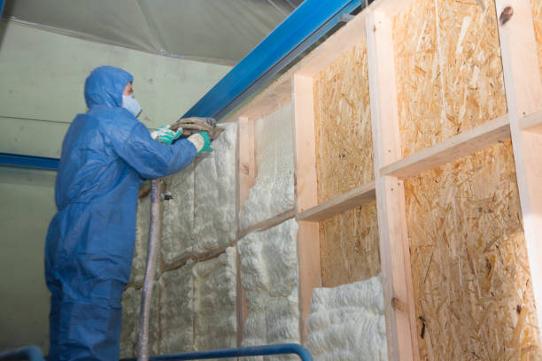 Best Fiberglass Insulation  in Susan Moore, AL