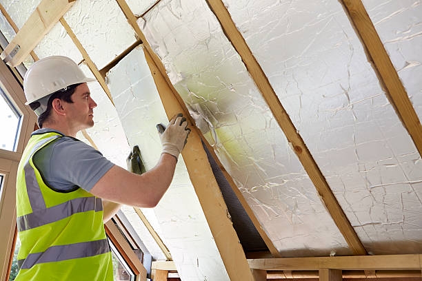 Best Insulation Replacement Services  in Susan Moore, AL